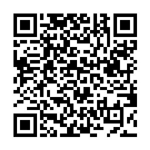 陆婉儿就认定了那个让陆锦阳变心的人非顾瑜轩不可二维码生成