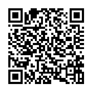 陆家的千里马进了云家的陷马坑也是全军覆没的结果二维码生成