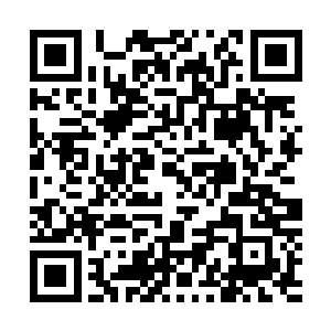 陆家老祖将刻有剑尘和沈剑二人画像的石板从地上挖了出來二维码生成