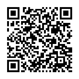 陆家老祖将刻有剑尘和沈剑二人画像的石板从地上挖了出来二维码生成