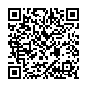陆小楼自然听不到他的话语而是继续乖巧的睡着二维码生成