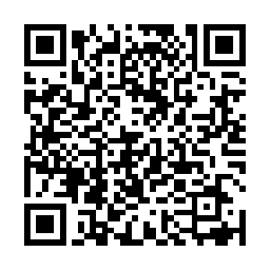 陆志华在春节期间也就谈到过现在华民集团的发展情况二维码生成