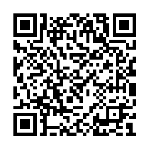 陆怀秋也不在了……现在萱萱只有她这个姐姐了二维码生成