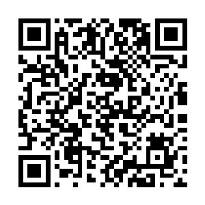 陆战队的丫头们见到戴恩恩和宋唯把米米拖到了这边二维码生成