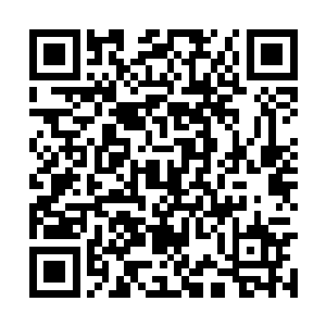 陆敏是不是想留下听听两位老总是怎么讨论事情的二维码生成