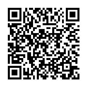 陆文凤似乎也明白常雨泽索要孙猴子电话的意图二维码生成