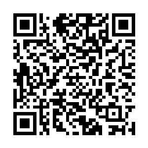 陆景乔陆陆续续去了当初他们携手走过的很多地方二维码生成