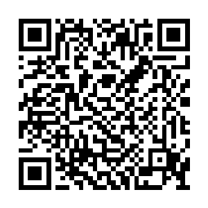 陆朝歌也从这些学生身上看到了一种宝贵的素质二维码生成
