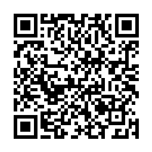 陆某人受县委书记和县委政法委书记的委托来过问这个案件二维码生成