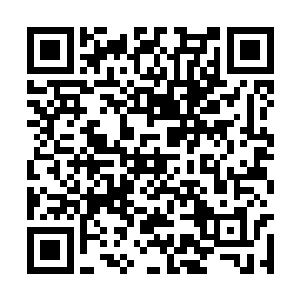 陆桥山率领麾下部队展开了对秀峰隘口疯狂的争夺二维码生成