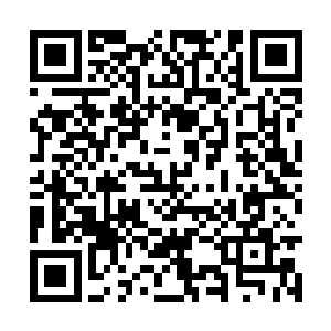 陆母心里明明白白的昨天儿子跟儿媳妇怎么回事儿二维码生成