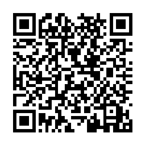 陆氏兄弟在得知了吴岩现在已经是结丹期的修为后二维码生成