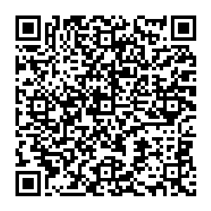 陆海集团才会在经过慎重考虑之后联合了陆海集团在昌江省的合作伙伴嘉桓公司共同进入了双峰县旅游资源的开发二维码生成