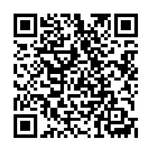 陆涛感觉滚烫的红色液体随时都能取走他的性命二维码生成