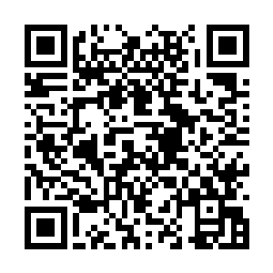 陆禹在生活上严格来说并不算得上是一丝不苟的人二维码生成