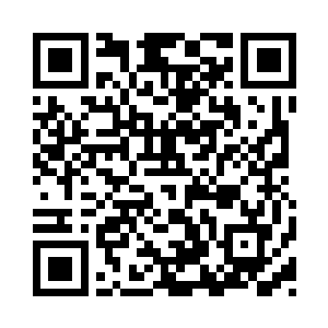 陆离的出现并没影响十三牡丹对我的热情二维码生成