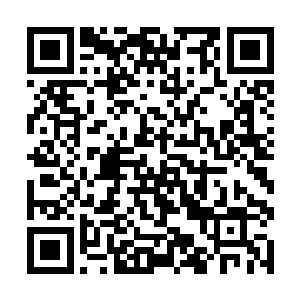 陆续拉开距离进入迷乱星海的千万大军基本全部进入二维码生成