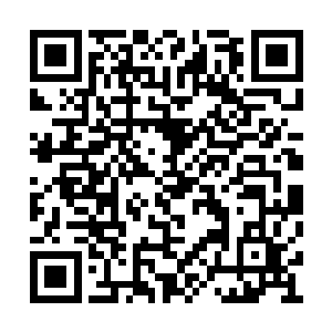 陆羽很明显的到念念眼里散发出来的危险的光芒二维码生成