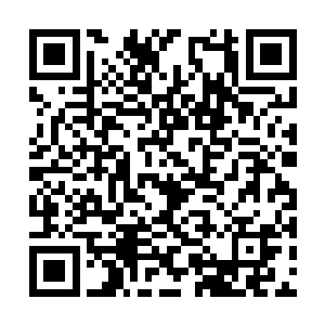 陆老太爷看着这样伤心的陆云幻终究还是于心不忍二维码生成