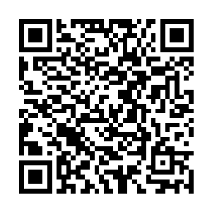 陆舟开始向着洛离的众生林中输入自己的黑暗神力二维码生成