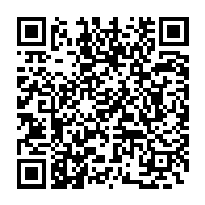 陆赵氏此刻看着江心茹的这张七八分相似陆云幻的脸也没那么厌恶了二维码生成