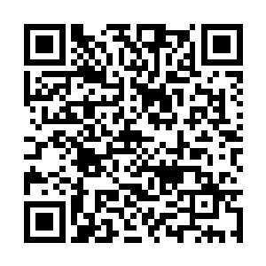 陆轻盈在后面呼唤了好几声也没有让他他停下脚步二维码生成