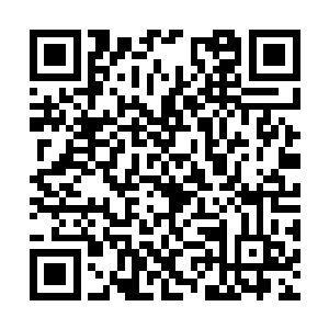 陆轻盈将一大包路上吃的路菜放到鲁夫人的马车上二维码生成