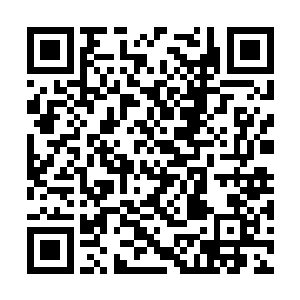 陆轻盈正慵懒的靠在一张美人椅上握着一卷书在看二维码生成