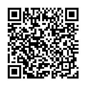 陆远志和其他的锦衣校尉全都用难以名状的眼神看着秦林二维码生成