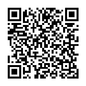 陆远志眼睁睁的看着秦林率锦衣校尉们跳上马背绝尘而去二维码生成