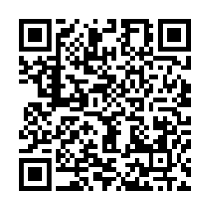 陆陆续续到来的桑塔纳意味着各县市区的领导们都开始到来二维码生成