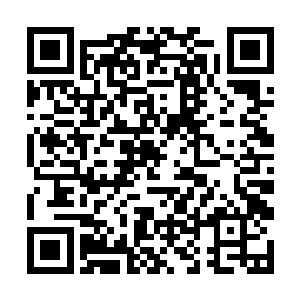 陆青和风沁雪两个人的脸上也露出了一抹惊讶的神情二维码生成