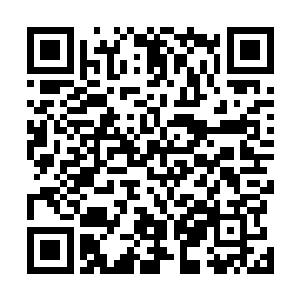 陆靖友和朱玉琨就更是唯恐天下不乱的大喊大叫鼓掌叫好二维码生成