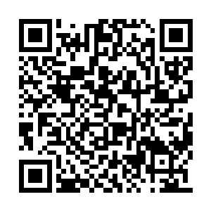 陆非凡轻而易举的单手抱起了奥利奥离开了这里二维码生成