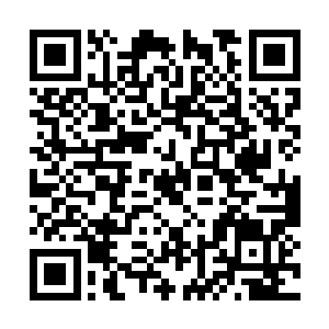 陆飞扬此刻面对沈悦有些内心不知道什么滋味儿了二维码生成