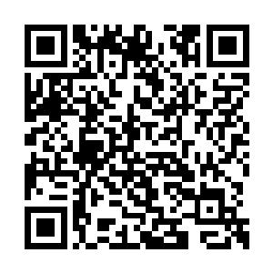 陈一从捆在马背侧面的包袱里取出长剑甩给南玖二维码生成