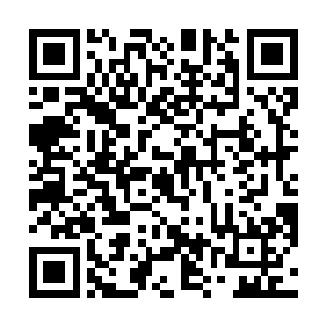 陈东将丁二狗送到楼梯处才再丁二狗的反复催促下回去二维码生成