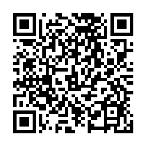 陈丽红真不知道自己是离开好还是忍气吞声拿自己赌一把好二维码生成