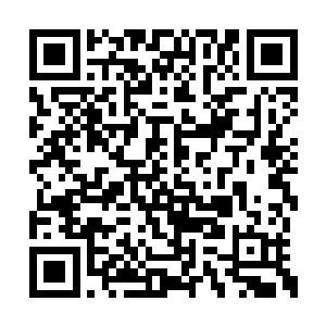 陈元昭不由分说地从许瑾瑜的手中抱过了麒哥儿二维码生成