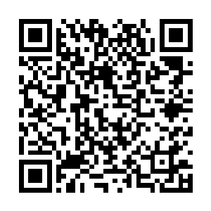 陈凌不说这个他真的完全没有这个意识需要这样做二维码生成