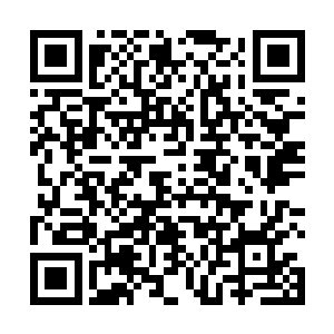 陈凌似乎从来没有明确地说过他此行的目的究竟是什么二维码生成