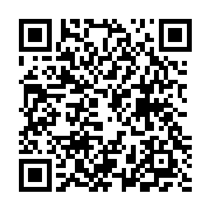 陈凌深深地体会到了神王处心积虑所做的一切究竟是何用意二维码生成