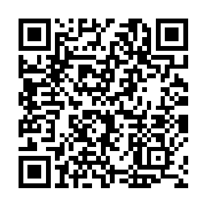 陈凌看着她们如此坚定的目光也更加坚定了自己的想法二维码生成