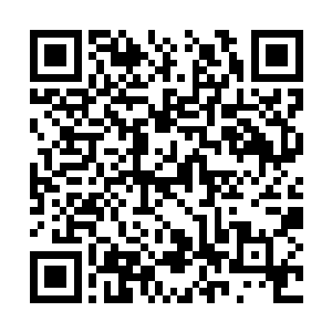 陈剑在见到陈风的尸体的时候才一下子醒悟了过来二维码生成