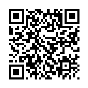 陈副统领和罗副统领的对手都很强二维码生成