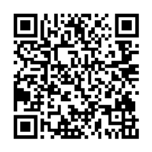 陈博士就在一阵得意的大笑声中转身离开了……二维码生成