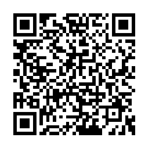 陈叔特地命人准备了一副上好的香楠木的小棺材二维码生成
