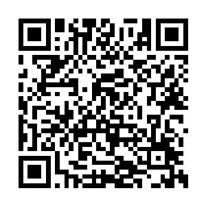 陈大老板在护卫长蒋龙的陪同下终于携礼上门了二维码生成