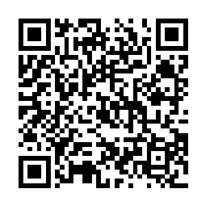 陈大虾只瞅了一眼就清楚这个人该是船上的船老大才对二维码生成