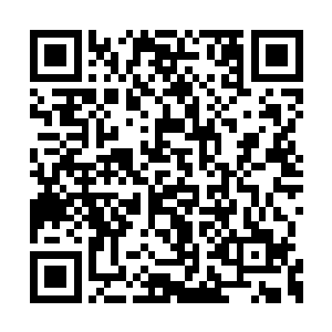 陈大虾用找到的斧头劈开了一间相对完好的船舱二维码生成